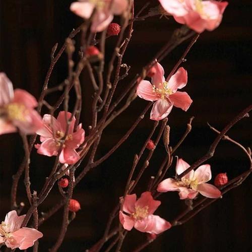 桃花 落地干花树枝树枝装饰干花枝干花花束真花干枝干花客厅装饰
