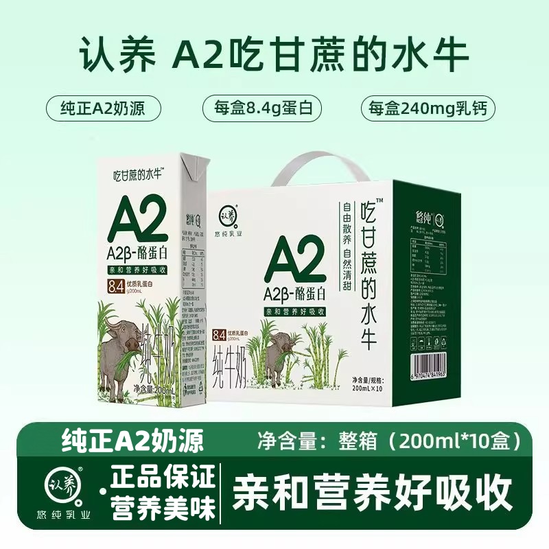 营养美味！认养吃甘蔗的水牛奶