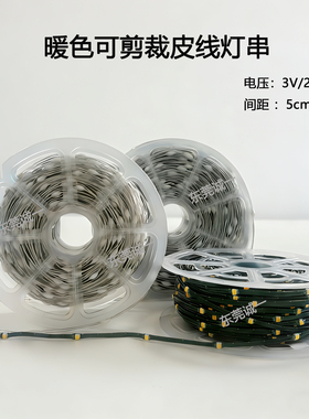3V24VLED单色皮线灯任意裁剪防水100米超长暖白闪光氛围装饰灯串
