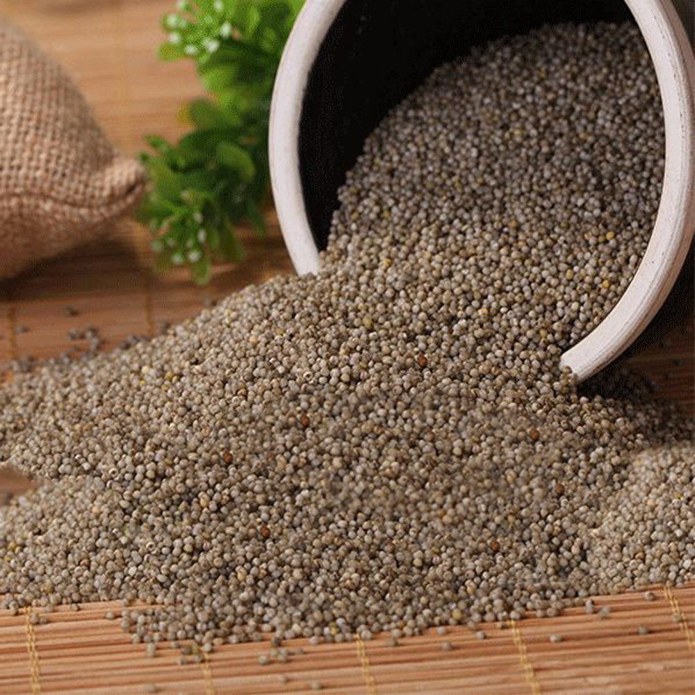 黑小米480g*3袋月子粥早餐粥黑小米粥农家小米粥米粗粮五谷杂粮