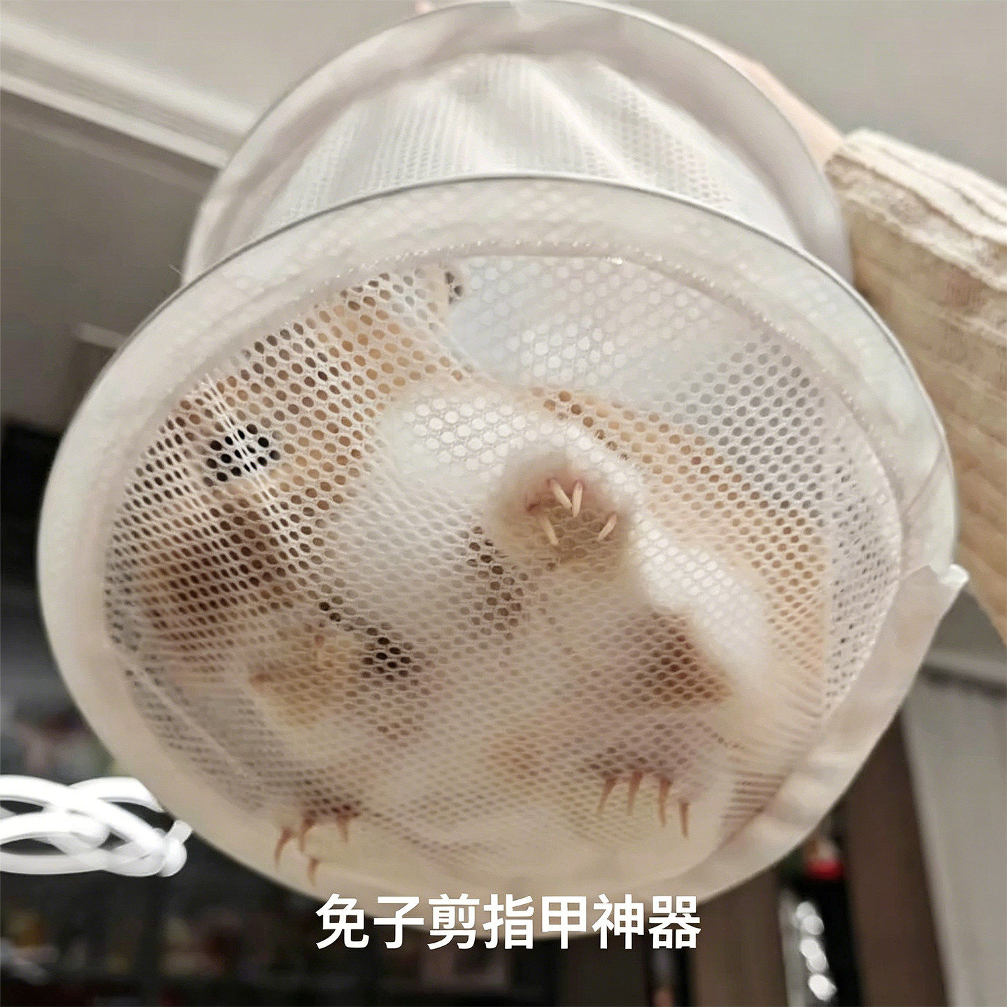兔子剪指甲神器网兜防挣脱固定防抓防咬束缚袋侏儒兔宠物兔用品