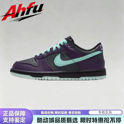Nike/耐克 Dunk Wizard 舒适贴合耐磨防滑低帮板鞋 FB9109-013