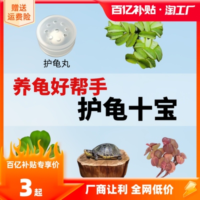 乌龟缸养龟专用龙眼木造景装饰水草用品净化水质乌龟晒台植物摆件