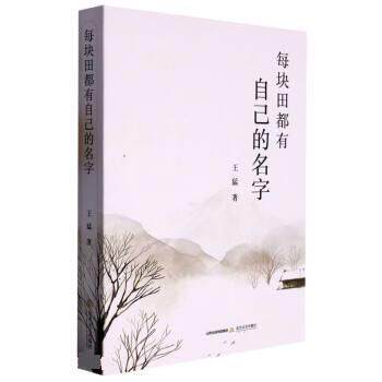 每块田都有自己的名字 王猛 9787537866019