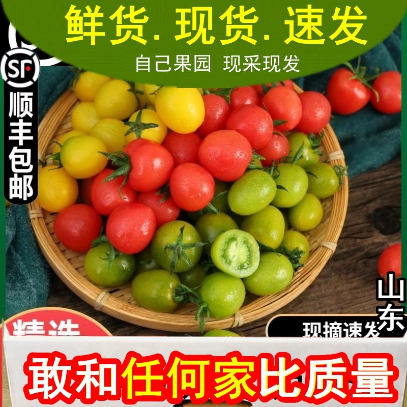 潍坊特产三色千禧小番茄圣女果小西红柿青口蜜彩色柿子混装包邮,水产肉类/新鲜蔬果/熟食,番茄,淘宝优惠券,粉丝福利购,淘宝优惠卷