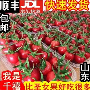 Шаньдун Миллениум Маленькие помидоры 5 килограммов свежих фруктов Вкусные вишневые вишневые помидоры вишне