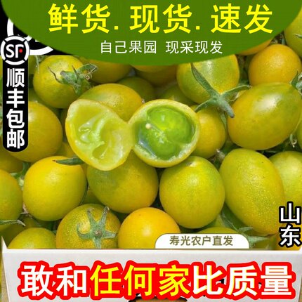 山东青口蜜千禧小番茄圣女果绿色小番茄西红柿现摘现发新鲜水果包