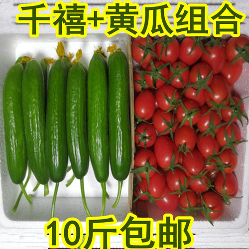 包邮千禧圣女果偲荭园产地直销