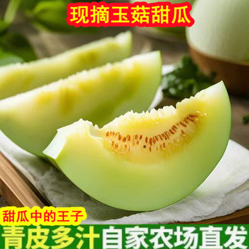 富涛产地直销玉菇甜瓜