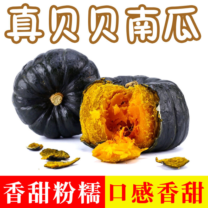 正宗贝贝南瓜板栗味粉糯香甜婴儿蔬菜辅食日本老瓜新鲜小南瓜