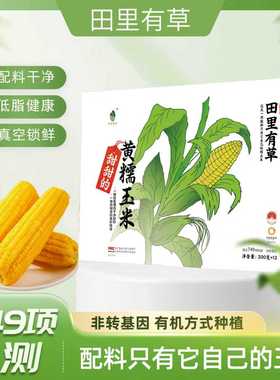 田里有草东北甜糯玉米黄糯玉米新鲜加热即食低脂代餐新鲜糯玉米