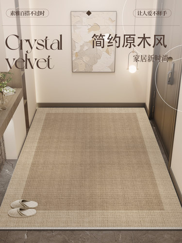 入户门地垫2025新款现代简约进门门口脚垫防滑耐脏玄关垫地毯门垫