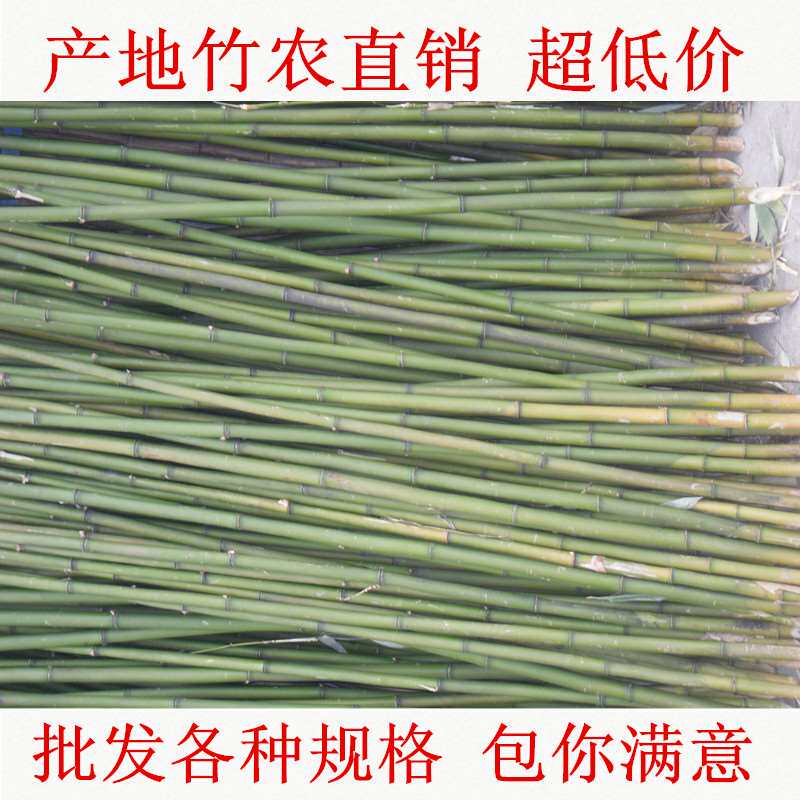 竹竿菜园搭架田园爬藤竹杆子篱笆栅栏豆角架黄瓜架子竹子户外种菜