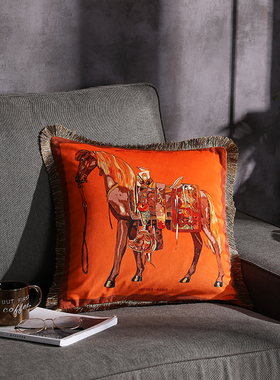 美式橙色轻奢抱枕靠垫办r公室沙发家居样板房客厅床头靠背毛绒礼