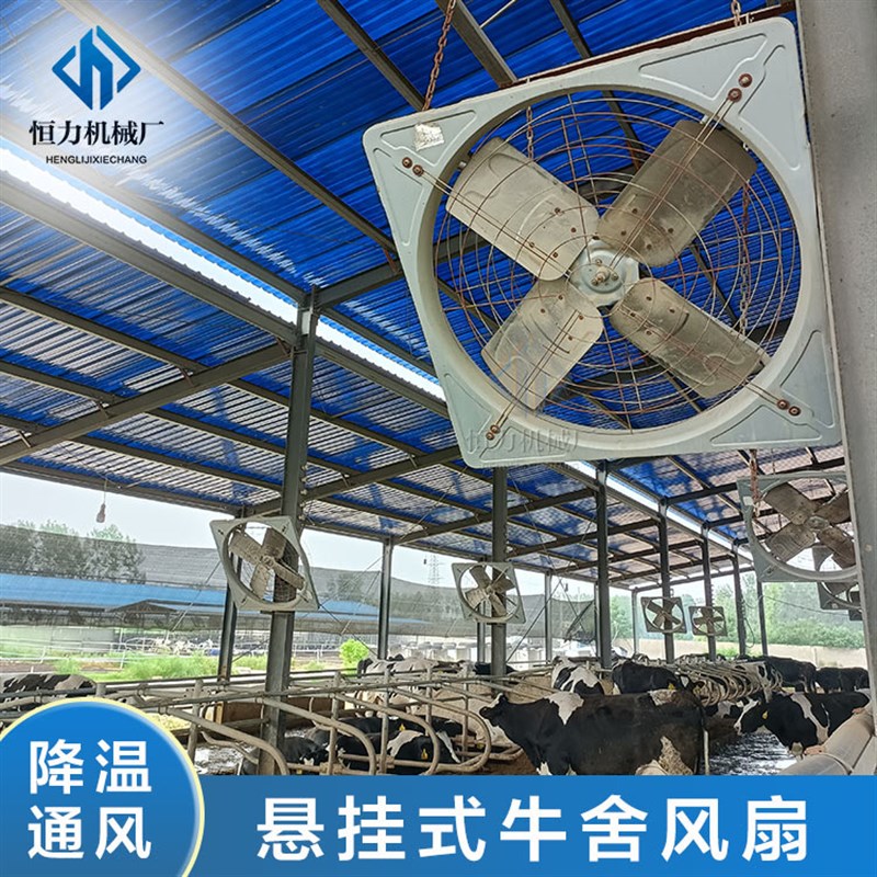 规模化奶牛场换气降温设备牛舍y风扇悬挂式四叶镜面不锈钢牛舍风
