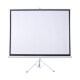 便携式 新品 适用范尼特支架幕布家用100寸120寸落地免安装 手动投影