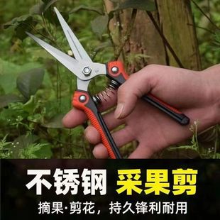 修枝剪葡a萄摘果剪园林果树剪粗枝花剪省力树枝剪修花园艺摘茶剪