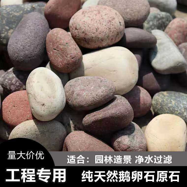 50斤天然鹅卵石原石水厂过滤园艺造景铺路雨花石滤料河卵石溪流石