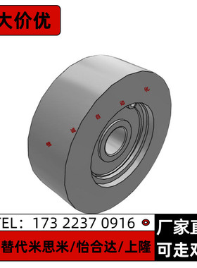 导向滚轮FTMRN FTMRB FTMRG FTMRA30 40 50 60 100