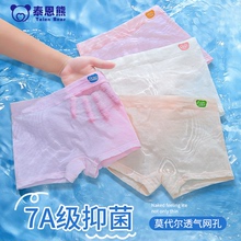 泰恩熊儿童内裤女童莫代尔夏季薄款透气抗菌平角中小童小女孩短裤