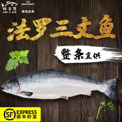 米其林日料供应商！高品质三文鱼