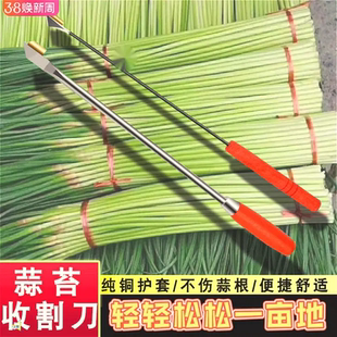 蒜苔收割刀抽蒜苔神器蒜苔刀抽蒜器摘蒜苗刮划拔剥提打蒜薹的工具