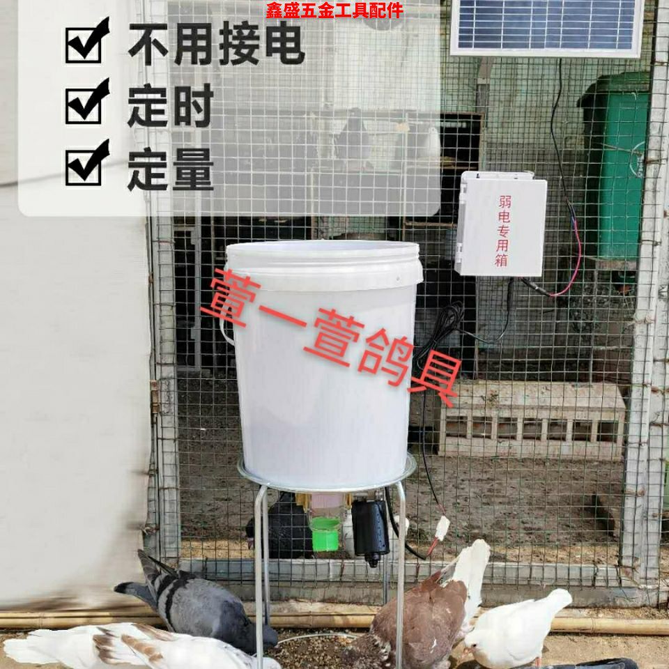 太阳能鸽子鹅自动喂料机