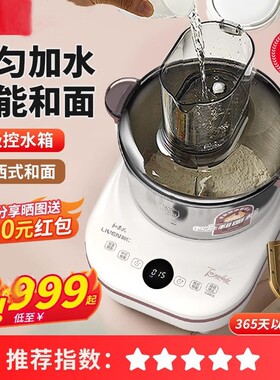 和面机小型家用揉面机全自动
