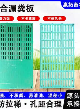 复合漏粪板鸡鸭鹅养殖漏粪板母猪羊产床板猪羊圈舍BMC复合漏粪板