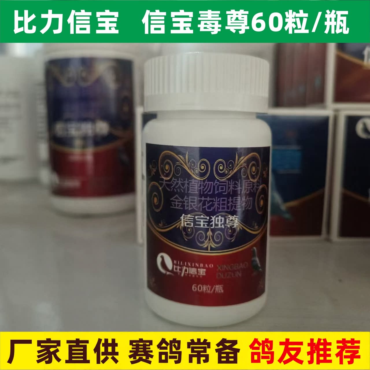 比力信宝鸽保健品信宝毒尊赛鸽图片