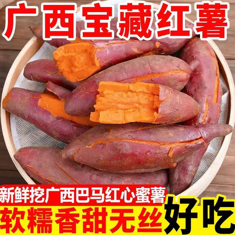 广西巴马长寿乡沙地西瓜红蜜薯