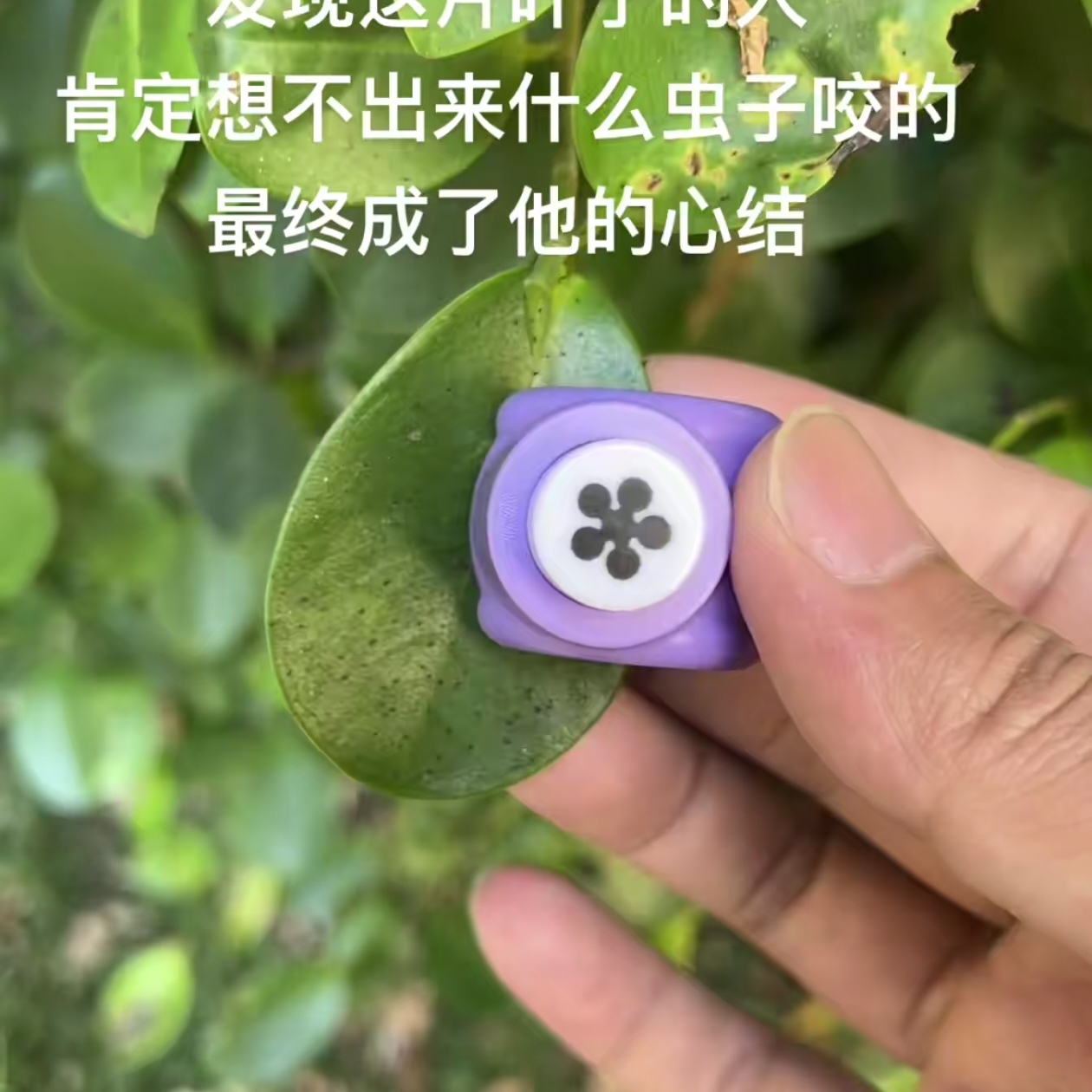 树叶猫爪压花器爪印打孔器叶子打花手工diy儿童幼儿园春游植树节