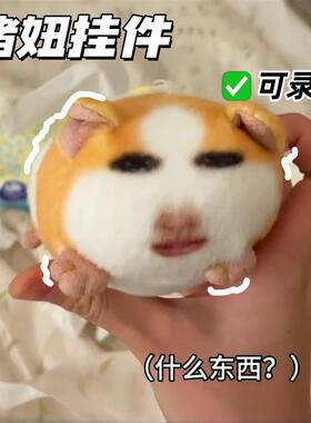 猪妞挂件搞笑抽象仙女下凡毛绒玩具荷兰猪玩偶可录音表情包钥匙扣