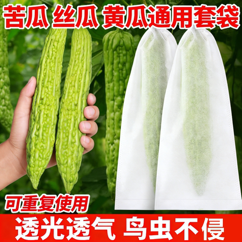 苦瓜丝瓜黄瓜套袋防虫防鸟