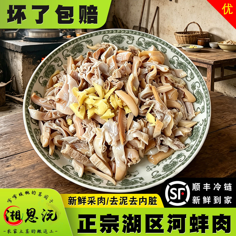 河蚌肉真空顺丰冷链新鲜淡水特大蚌壳生态鲜活大蛤蜊去壳净肉切丝