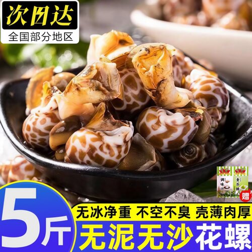 广西北海鲜活冷冻花螺东风螺