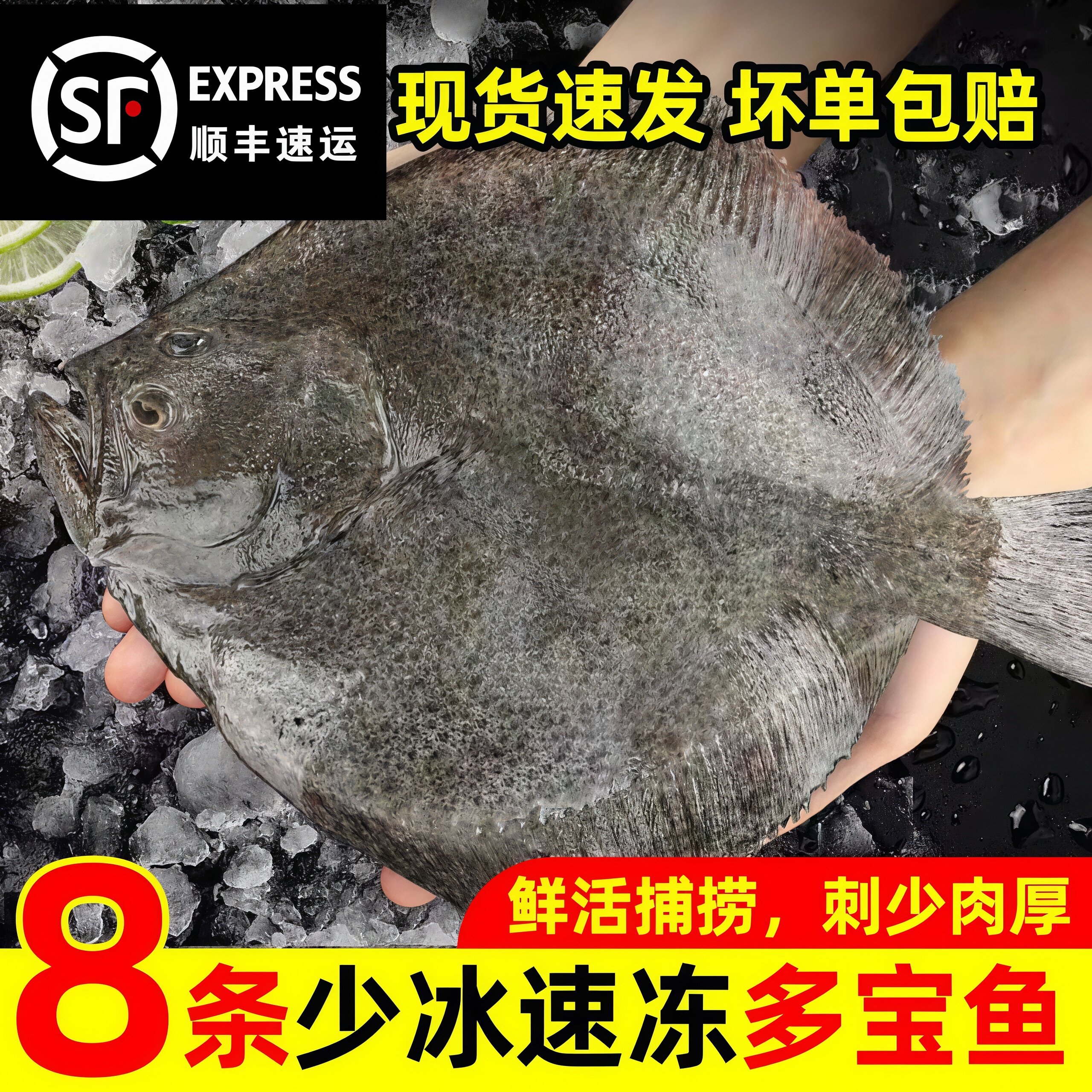 多宝鱼新鲜海捕少冰水产批发商用