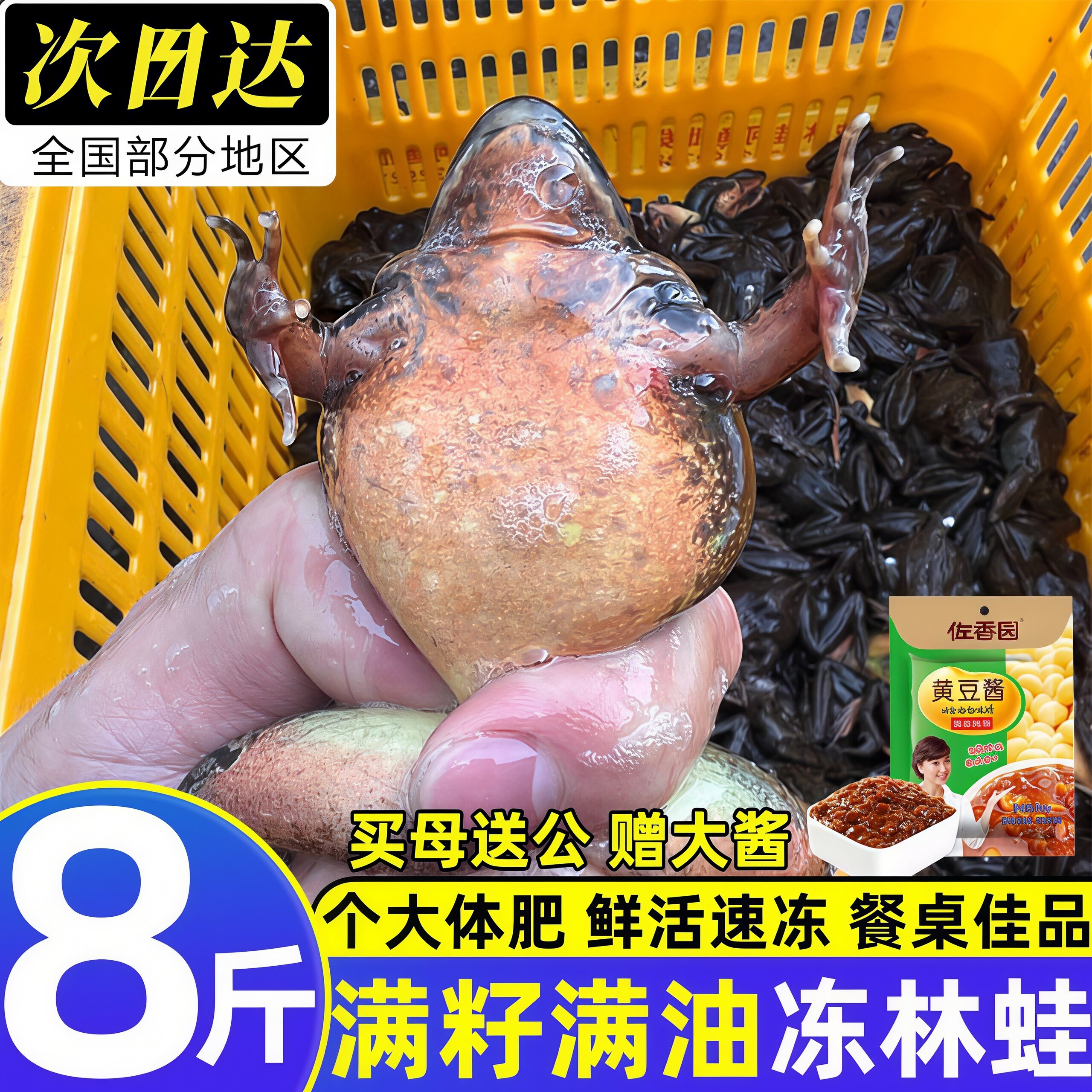 黑龙江现捕速冻满籽满油林蛙