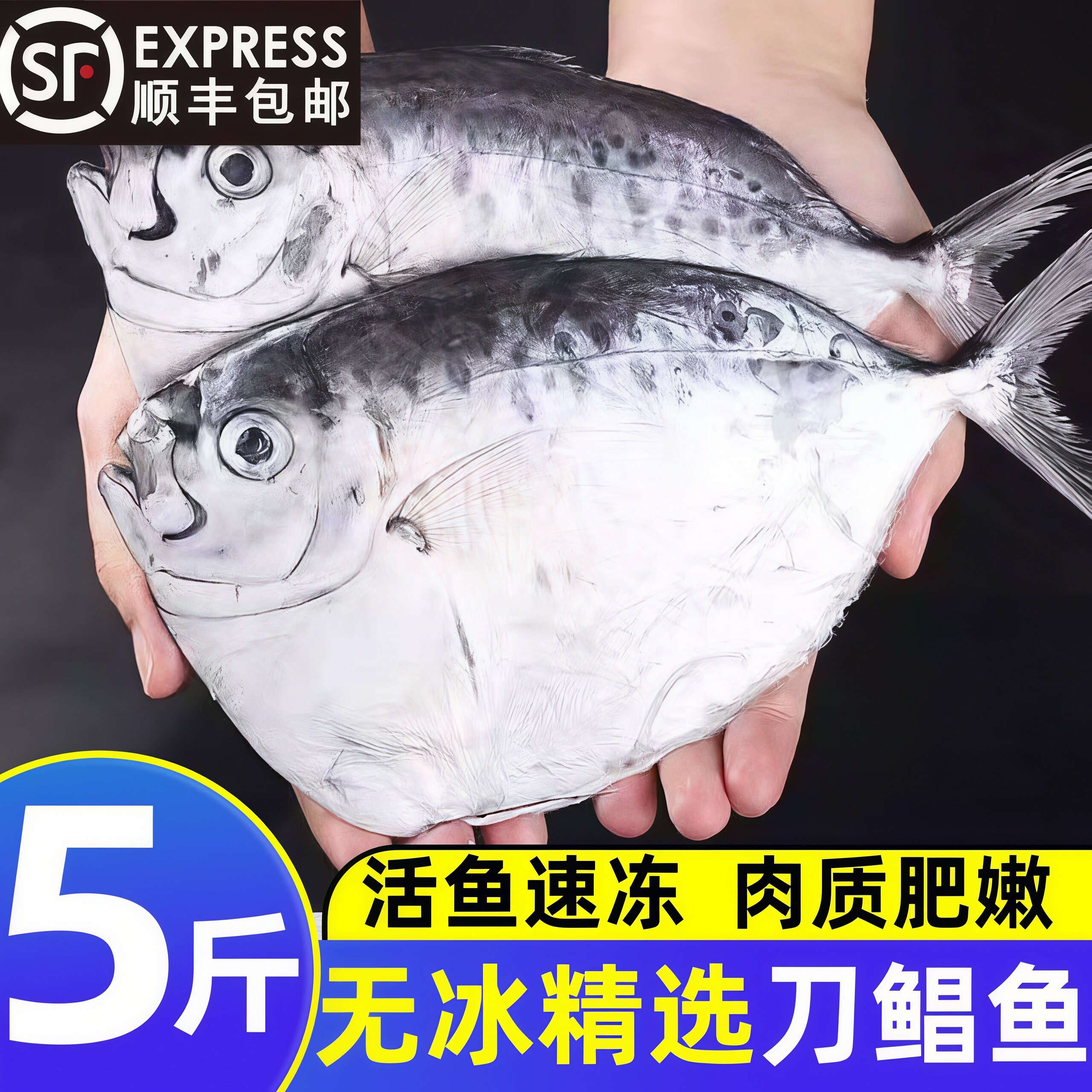刀鲳鱼新鲜冷冻野生海捕鲳鱼商用