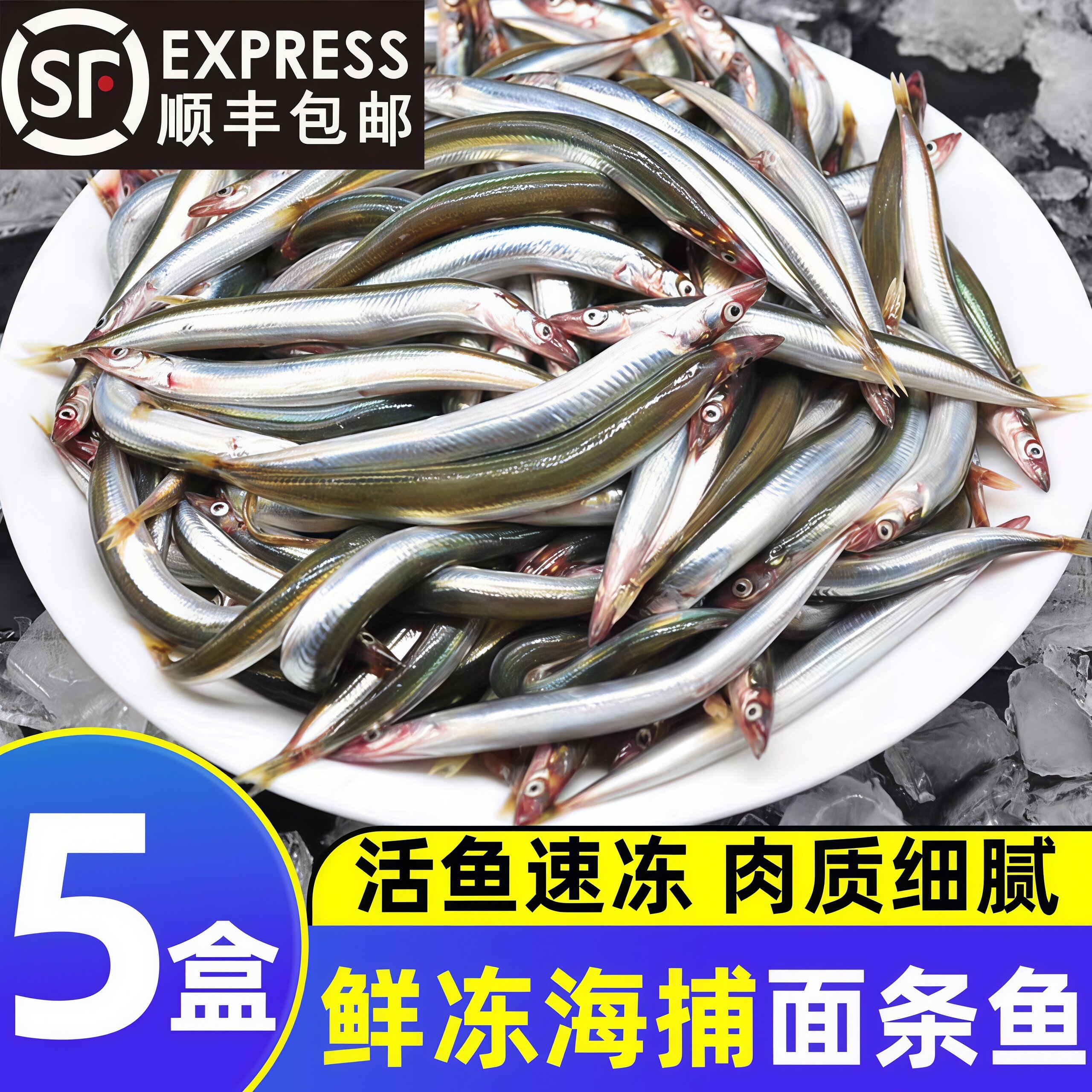 青岛面条鱼新鲜无冰冷冻小银鱼