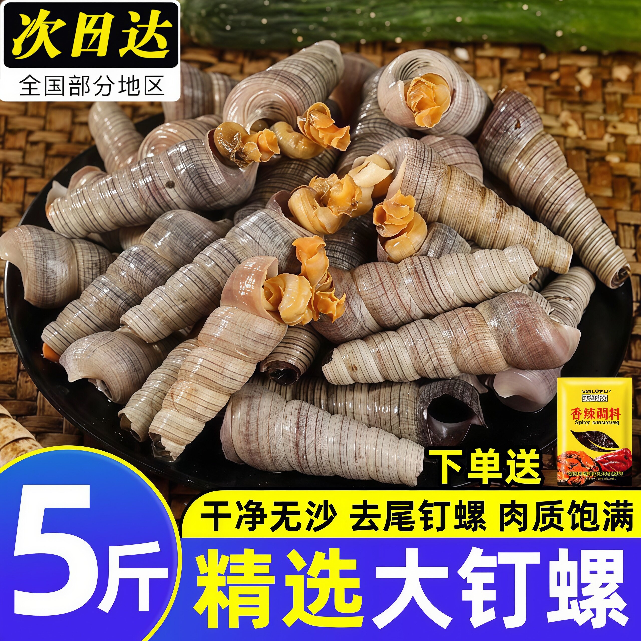 钉螺鲜活去尾大号锥螺新鲜海螺丝
