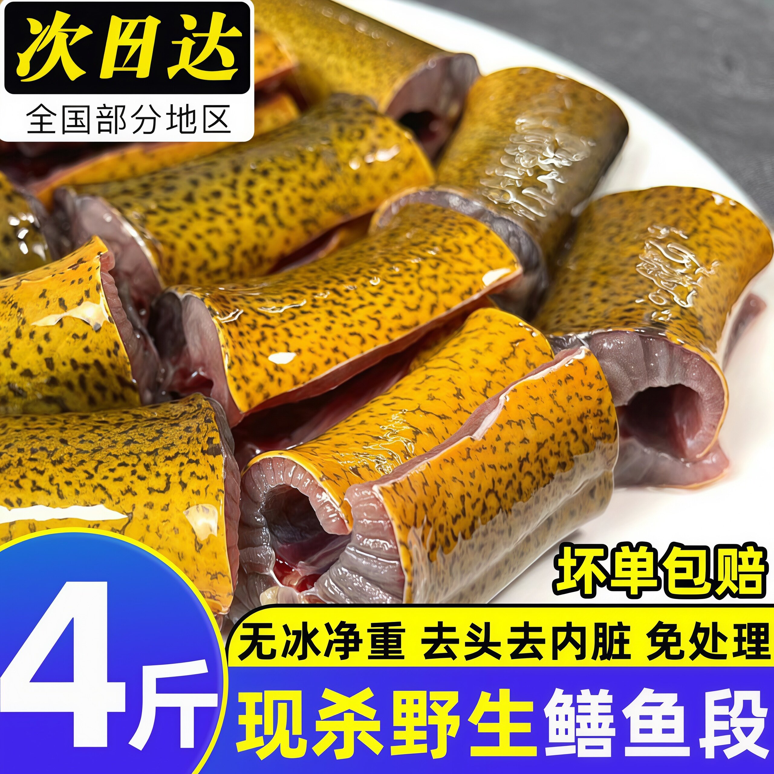 黄鳝段新鲜鳝鱼段鲜活黄鳝鱼包邮