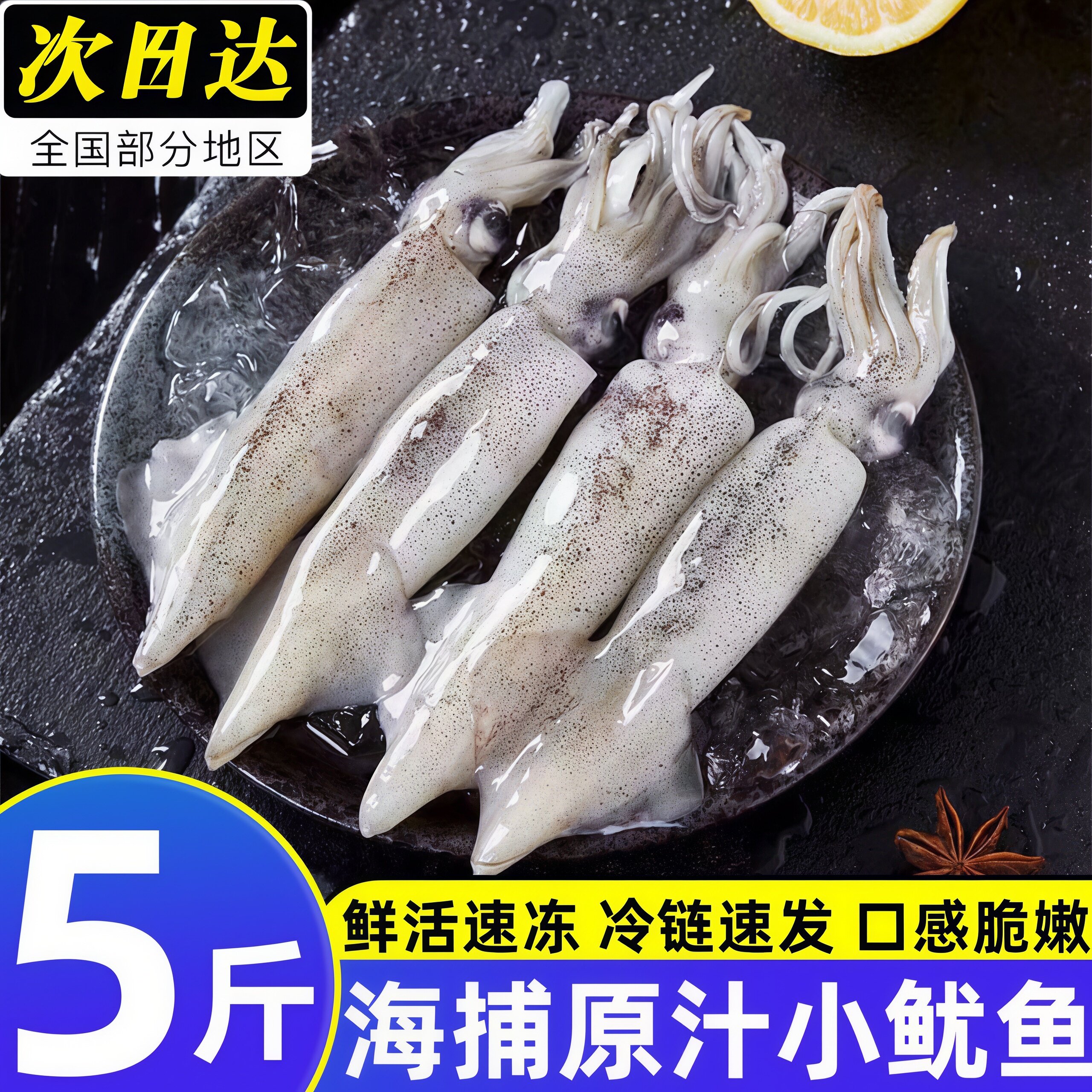 新鲜小管鱿鱼白灼鱿鱼冷冻大鱿鱼大笔管鱼小乌贼鲜活生鲜商用批发