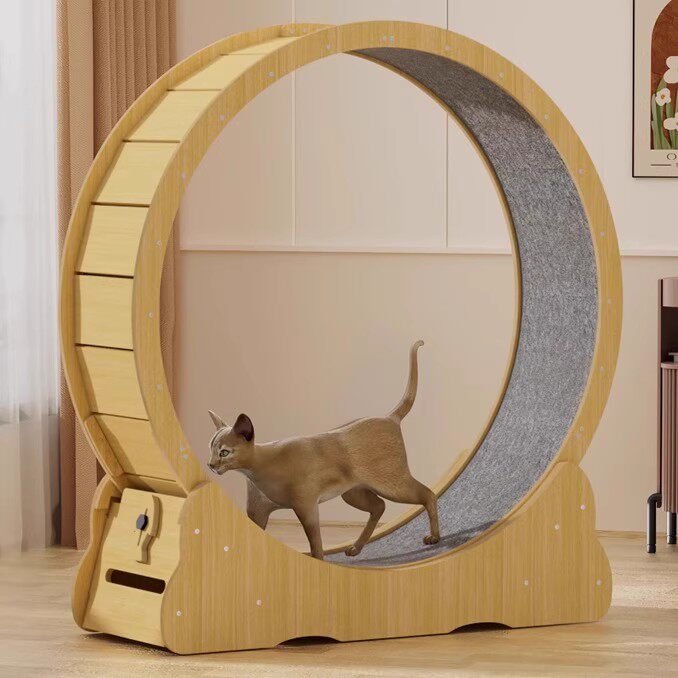 猫咪跑步机跑轮静音滚实