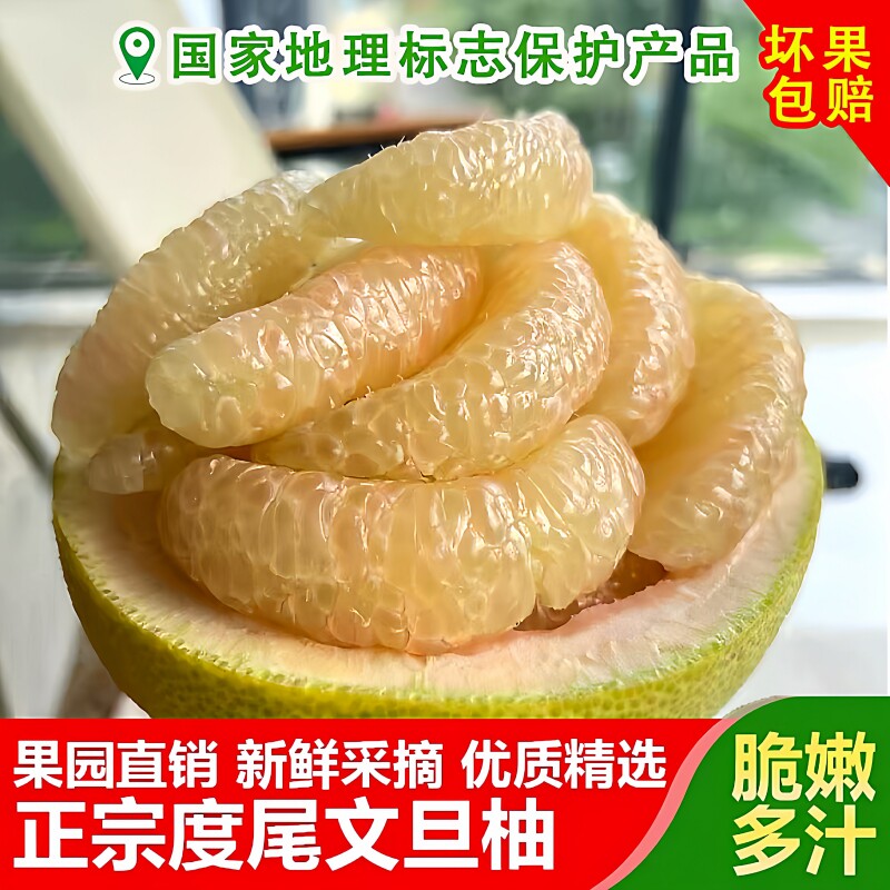 正宗文旦柚子仙游度尾福建莆田红心蜜柚孕妇新鲜水果青柚溪口红柚