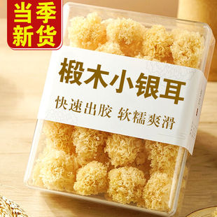 椴木小银耳干货新鲜无硫古田莲子银耳羹白木耳糯耳椴树银耳净重