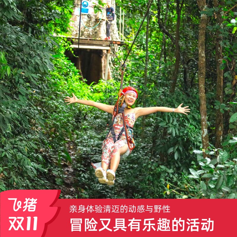 泰国清迈丛林飞跃Skyline/JF/丛林天鹰 丛林冒险极限飞跃天际