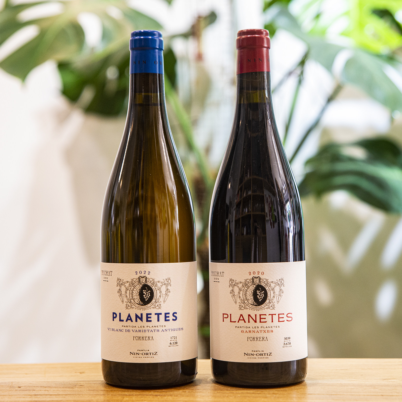 西班牙陶罐歌海娜普里奥拉托咸鲜