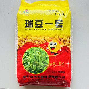 瑞豆一号黑脐黄豆种子高产非转基因大豆种籽春夏季大田种农家籽种