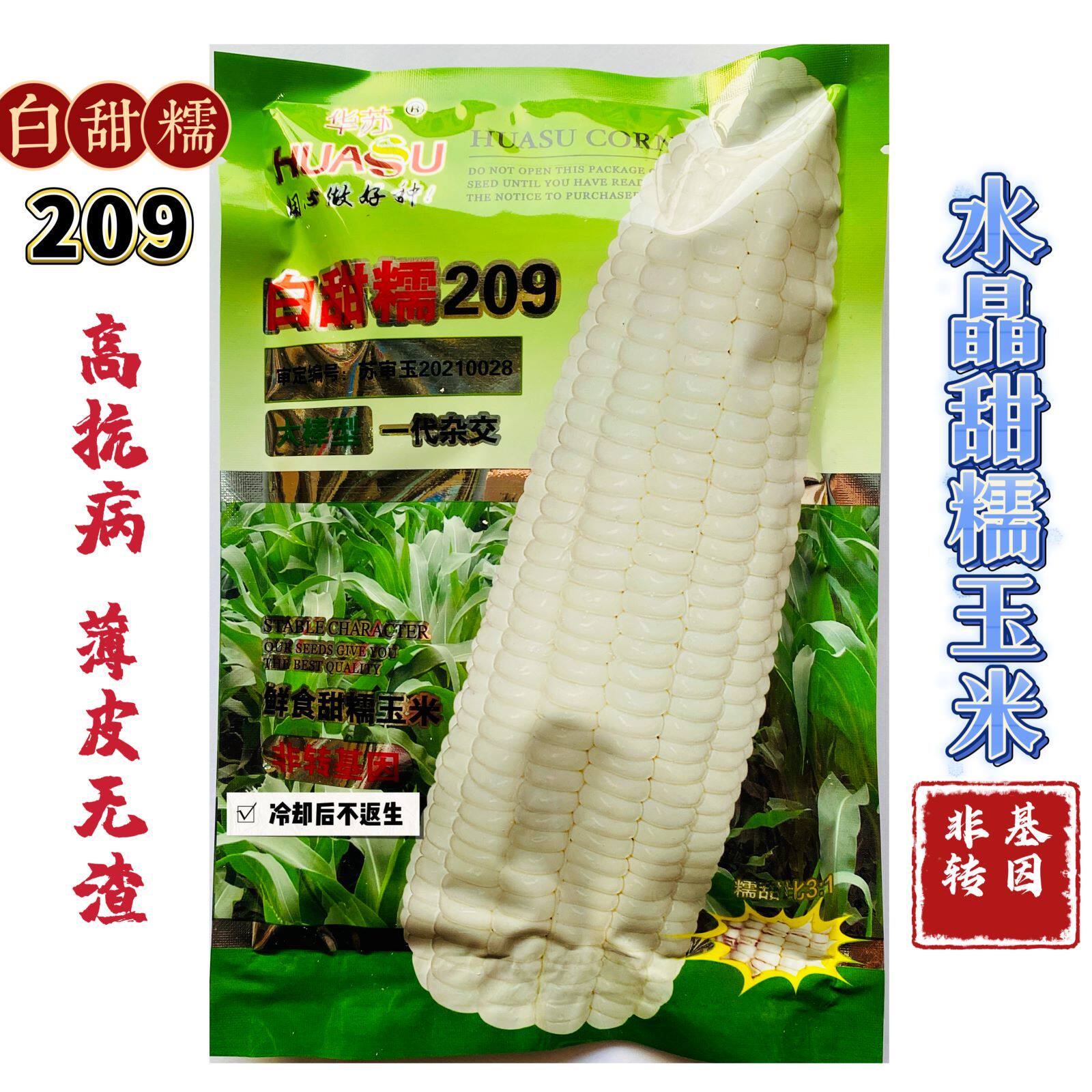 白甜糯玉米种子高产四季播白糯玉米非转基因农家超甜加糯玉米种子